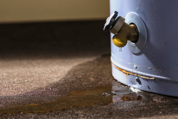 Best Commercial water damage restoration  in Boulevard Gardens, FL