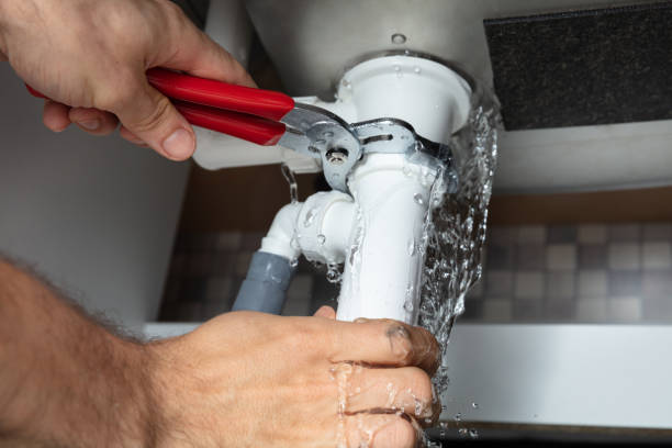 Best Water damage cleanup near me  in Boulevard Gardens, FL