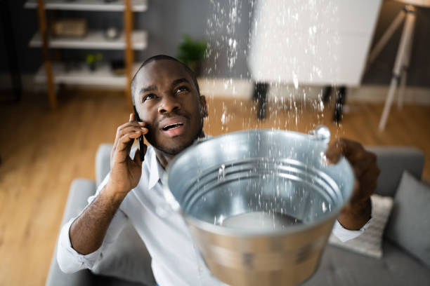 Best Commercial water damage restoration  in Boulevard Gardens, FL