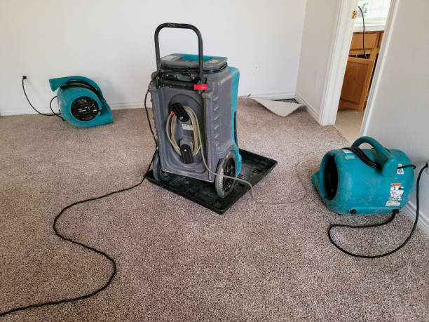 Best Ceiling water damage repair  in Boulevard Gardens, FL