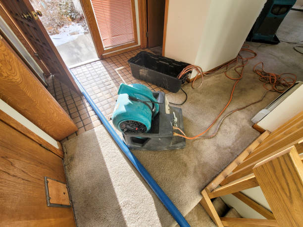 Best Local water damage restoration  in Boulevard Gardens, FL