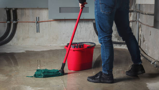 Best Emergency water damage restoration  in Boulevard Gardens, FL