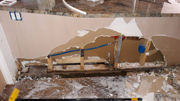 Best Ceiling water damage repair  in Boulevard Gardens, FL
