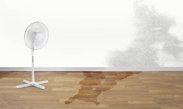 Best 24-hour water damage restoration  in Boulevard Gardens, FL