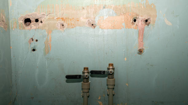 Best Flood damage cleanup  in Boulevard Gardens, FL