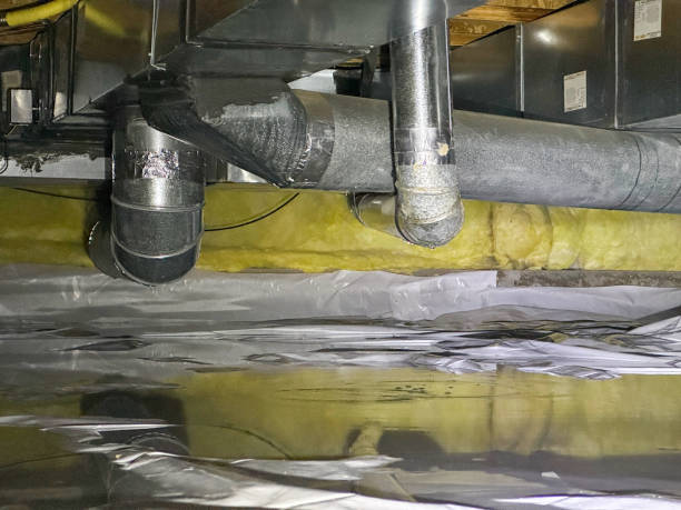 Best Flooded house restoration  in Boulevard Gardens, FL
