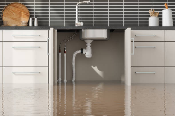 Best Local water damage restoration  in Boulevard Gardens, FL