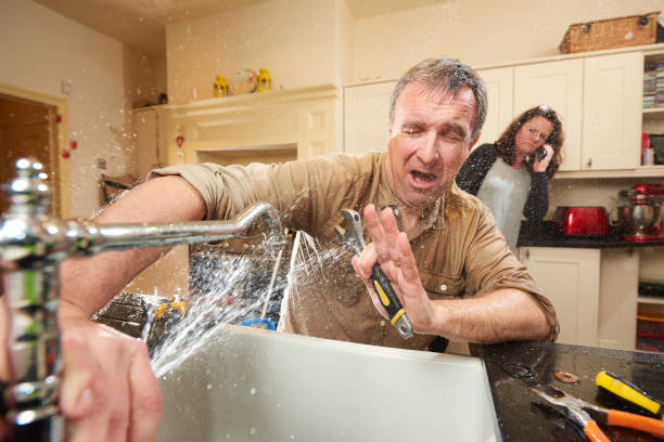 Best Water damage cleanup near me  in Boulevard Gardens, FL